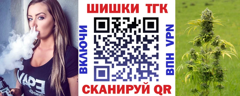 ГАШ Партизанск