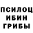 Галлюциногенные грибы ЛСД Sariagash Sariagash
